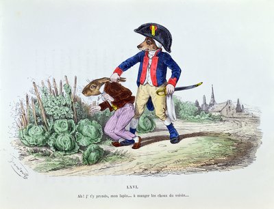 &39;Aha! Meu coelho, eu peguei você comendo seus repolhos vizinhos ... &39;, caricatura da série&39; Les Metamorphoses du Jour &39;, reimpressa em 1854 de Grandville
